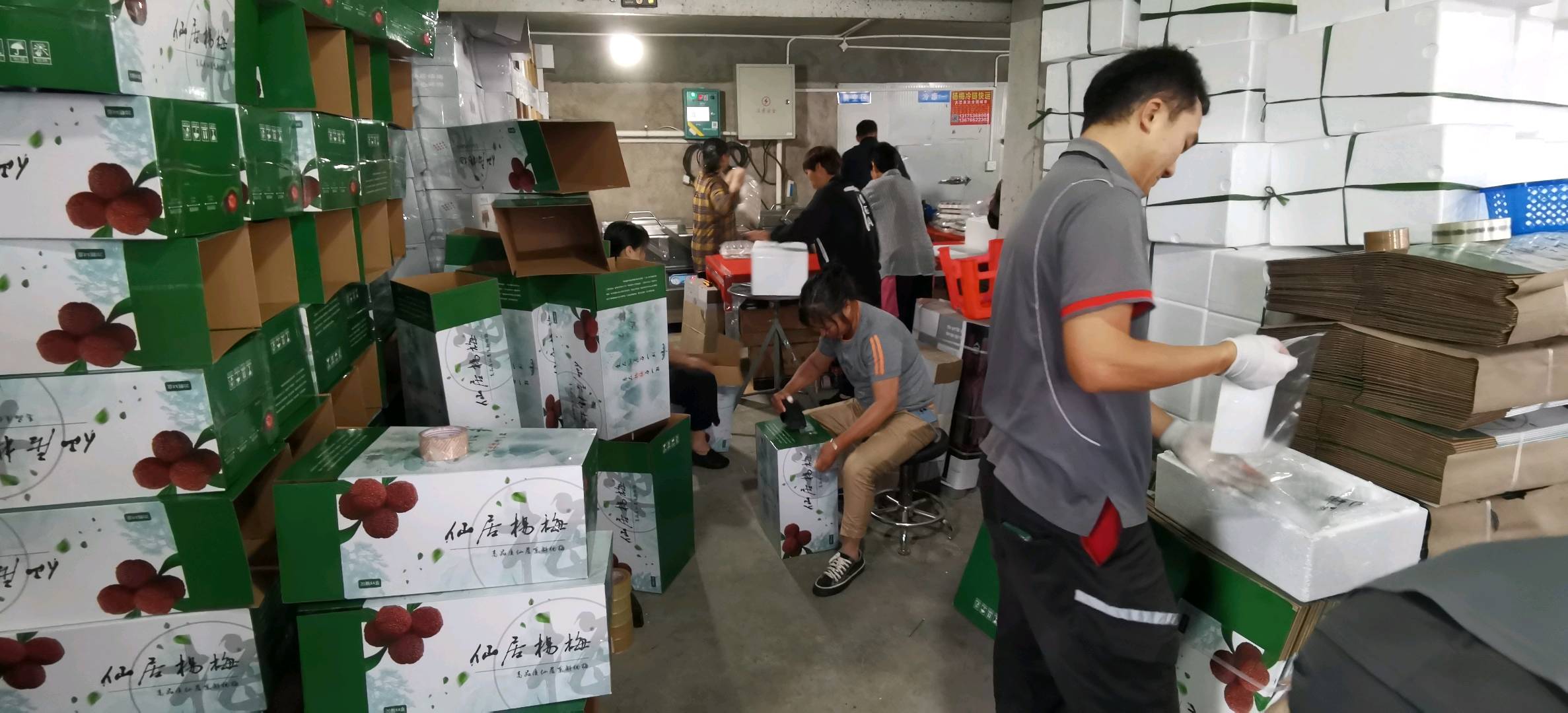 郑迪超品牌货源神仙居东魁杨梅种植户找代理合作