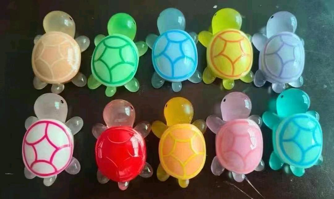陈先生品牌货源全红婵带火的发光乌龟
