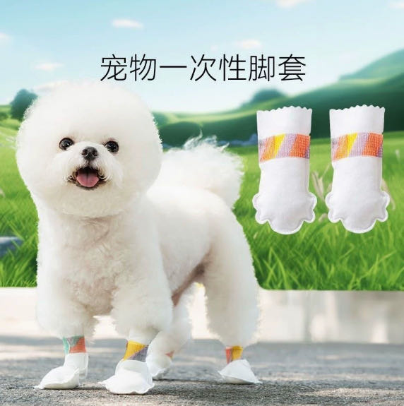丁先生品牌货源宠物用品 自有工厂，支持一件代发，寻找合作机会