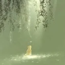 邹先生