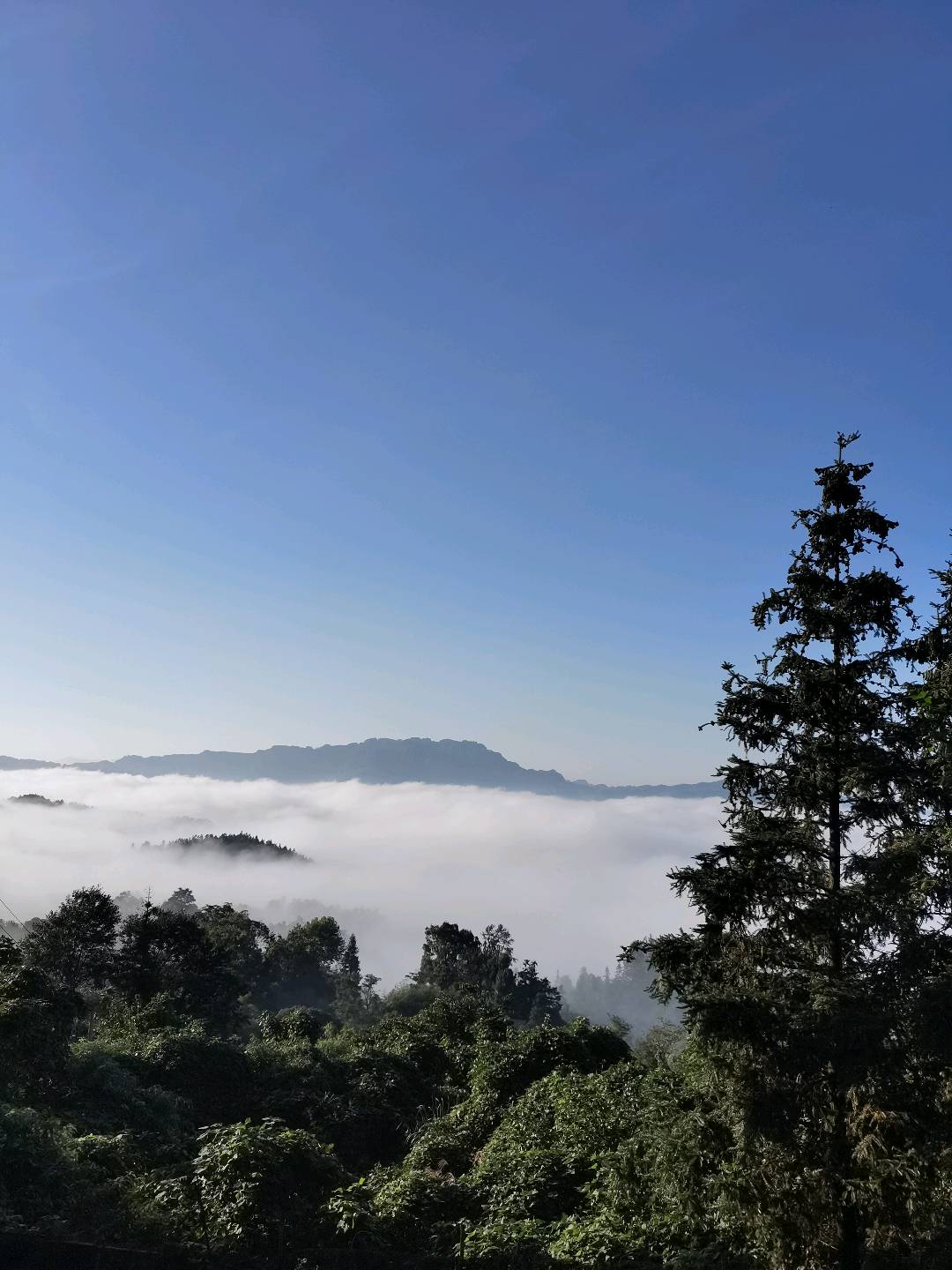 胡超重庆市避暑胜地巴南圣灯山水库钓场农家乐机车驿站马场招合伙人