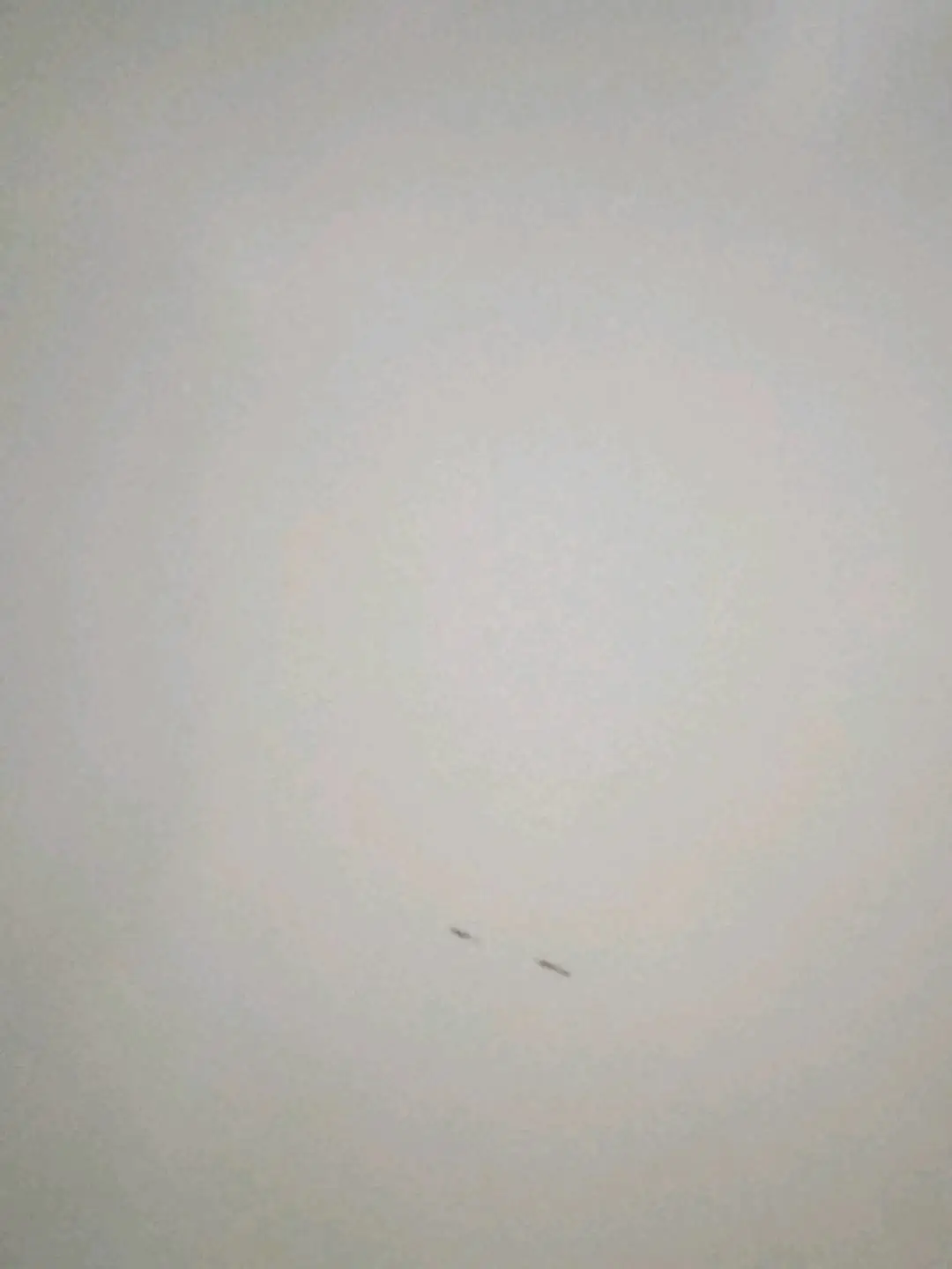 张先生
