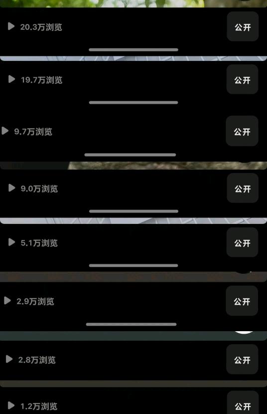 潘女士其他供需团队实力雄厚，长期承接各类小说推文商业项目，资源稳定、单量不断，入驻即
