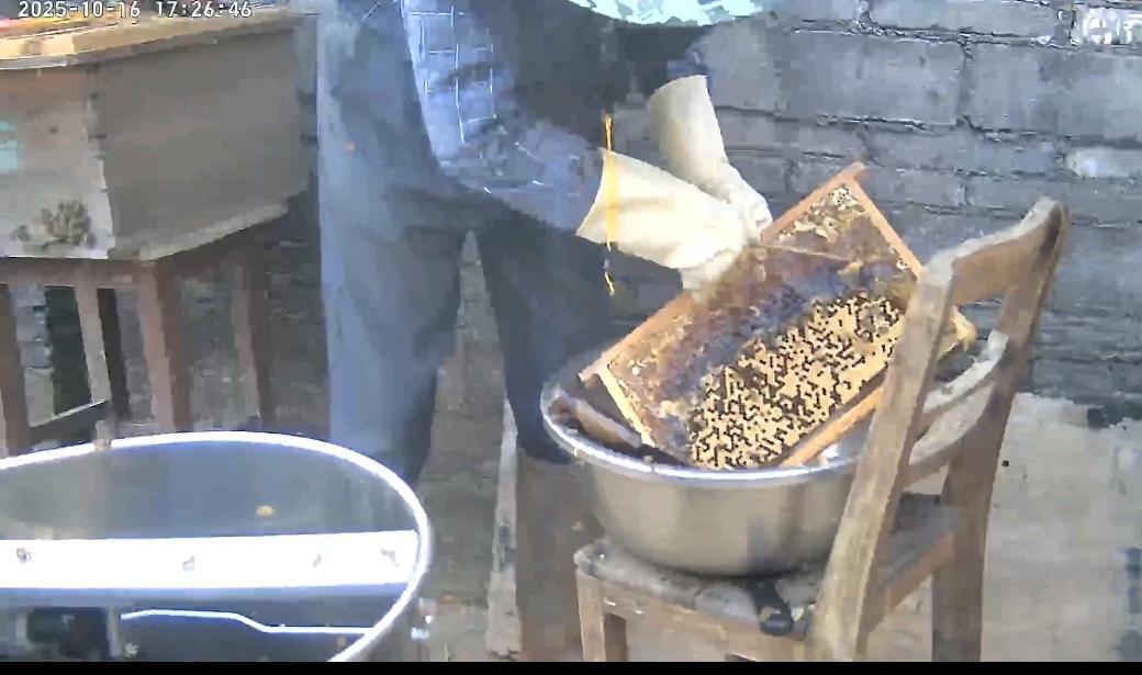 吴先生品牌货源农家土蜂蜜批发