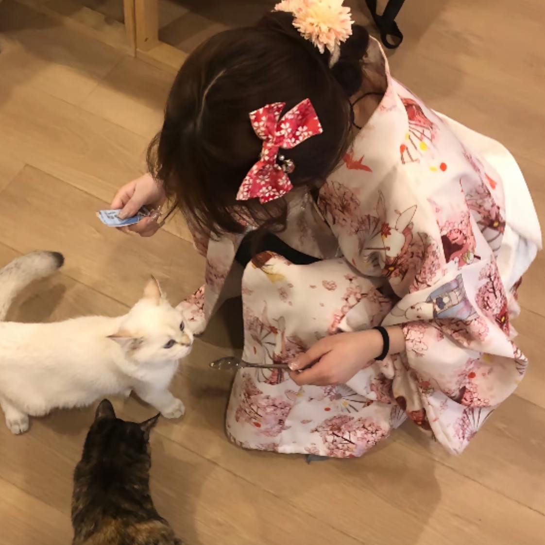 u客直谈实名认证唐女士