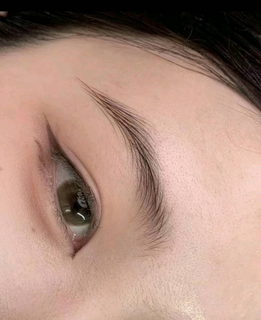 佟万生其他供需大人玩具