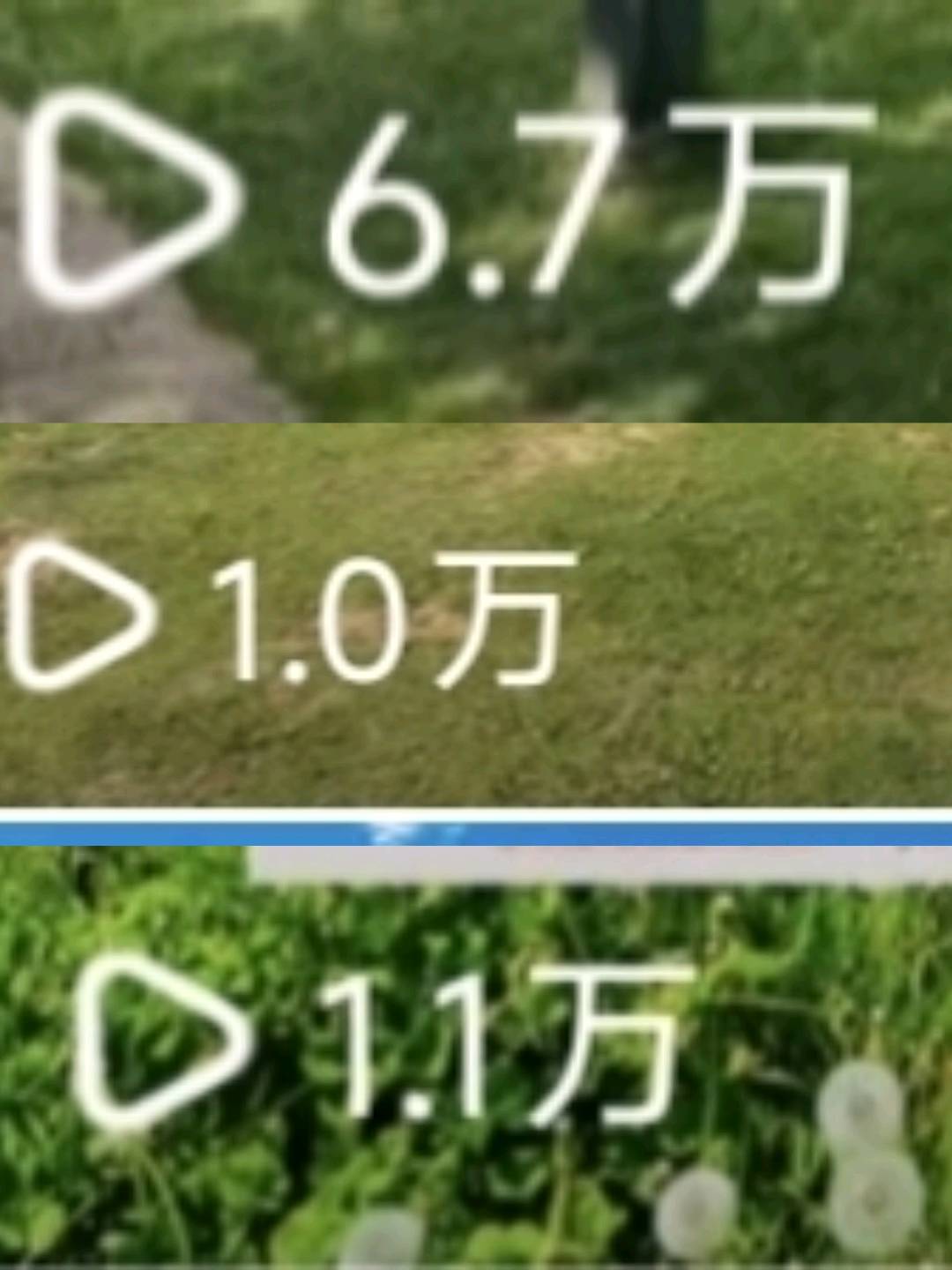 晏女士其他供需