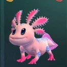 u客直谈阮俊西