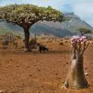 u客直谈实名认证孟勇