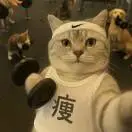 冯豫疆