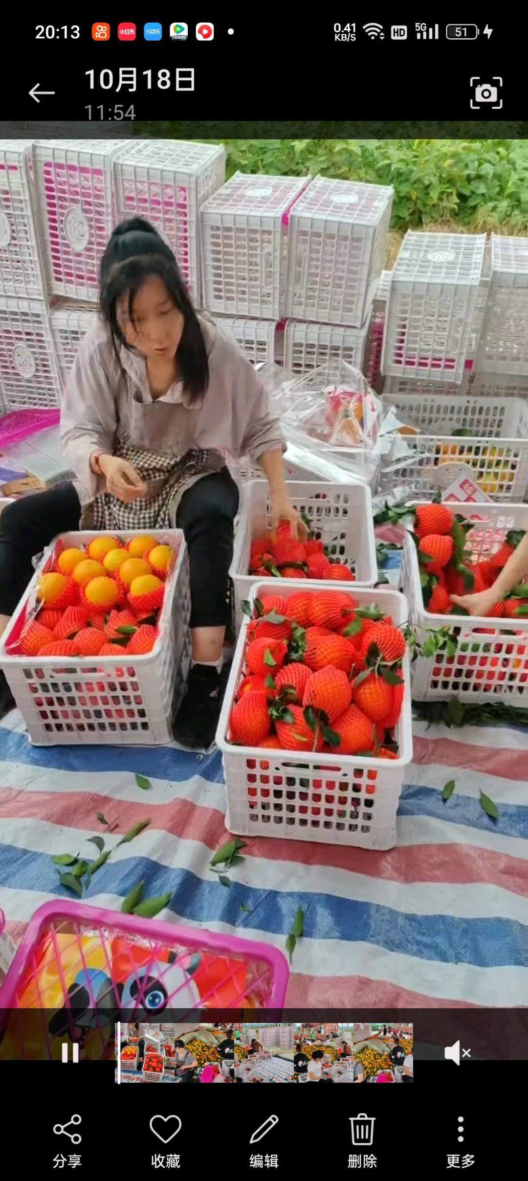 张波四川爱媛38果冻橙产地代收 一条龙服务