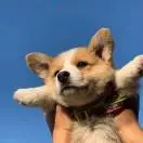 魏浩浩