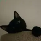 u客直谈实名认证廖韦考