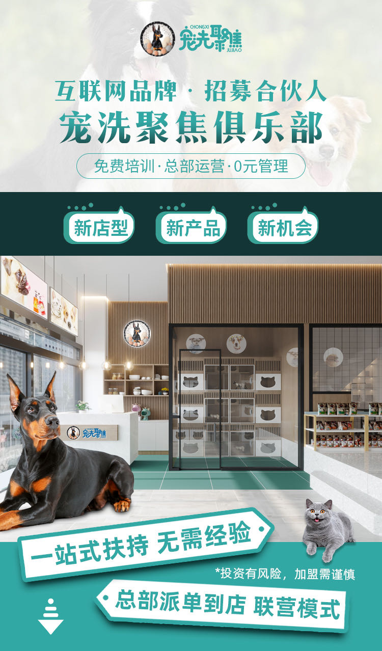 吴博宠物连锁行业，招全国有大客户资源的人合伙，无需任何费用，年分润*