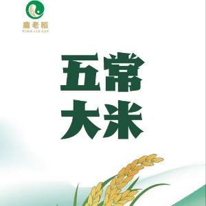 段秋雨