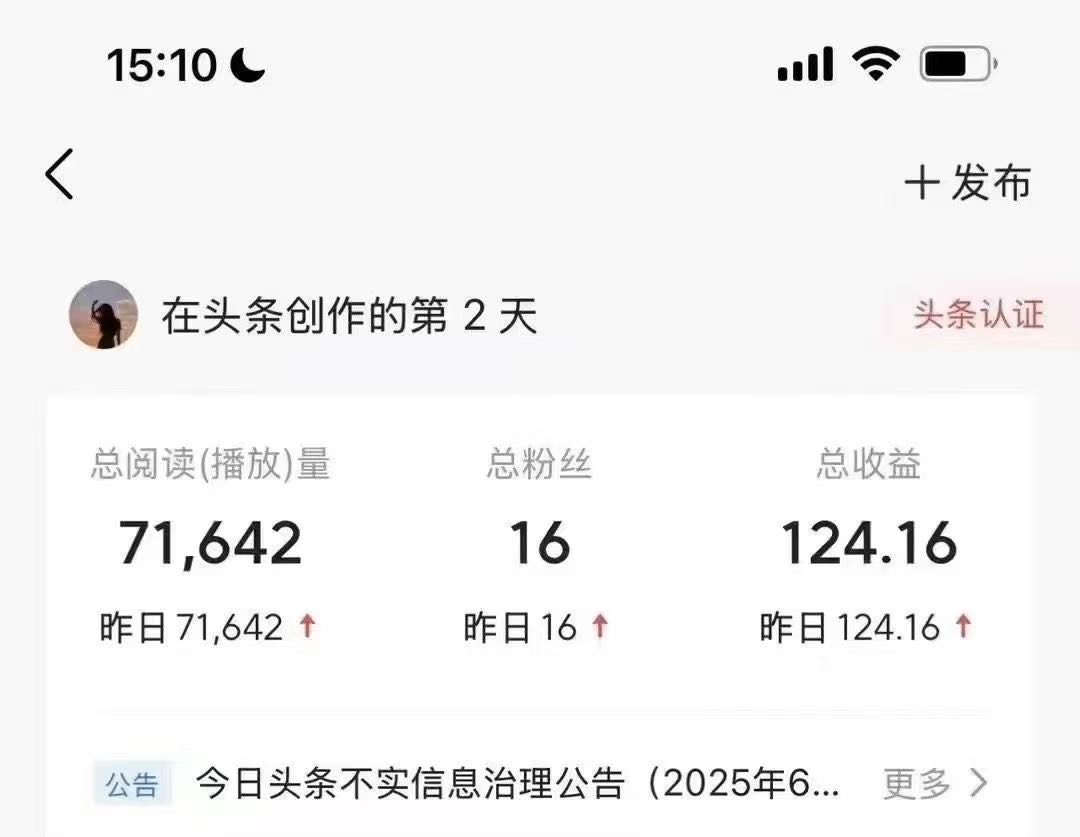 张岩今日头条爆款项目