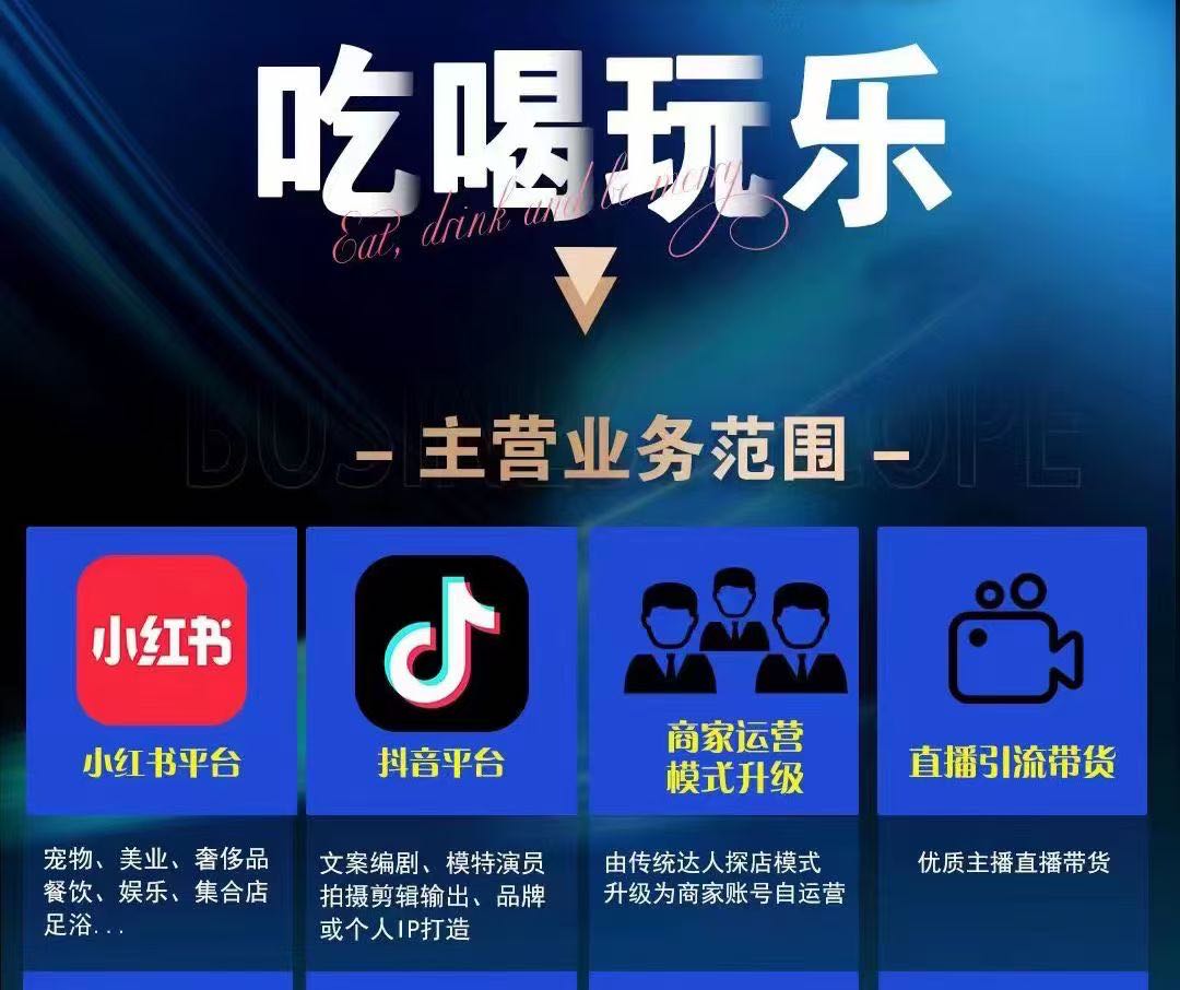 吴金泽地推项目