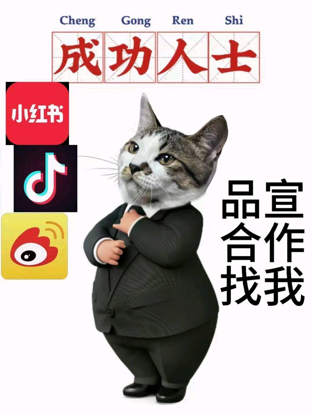 李龙涛乙方信息提供全平台品宣kol koc供应商*新闻发稿