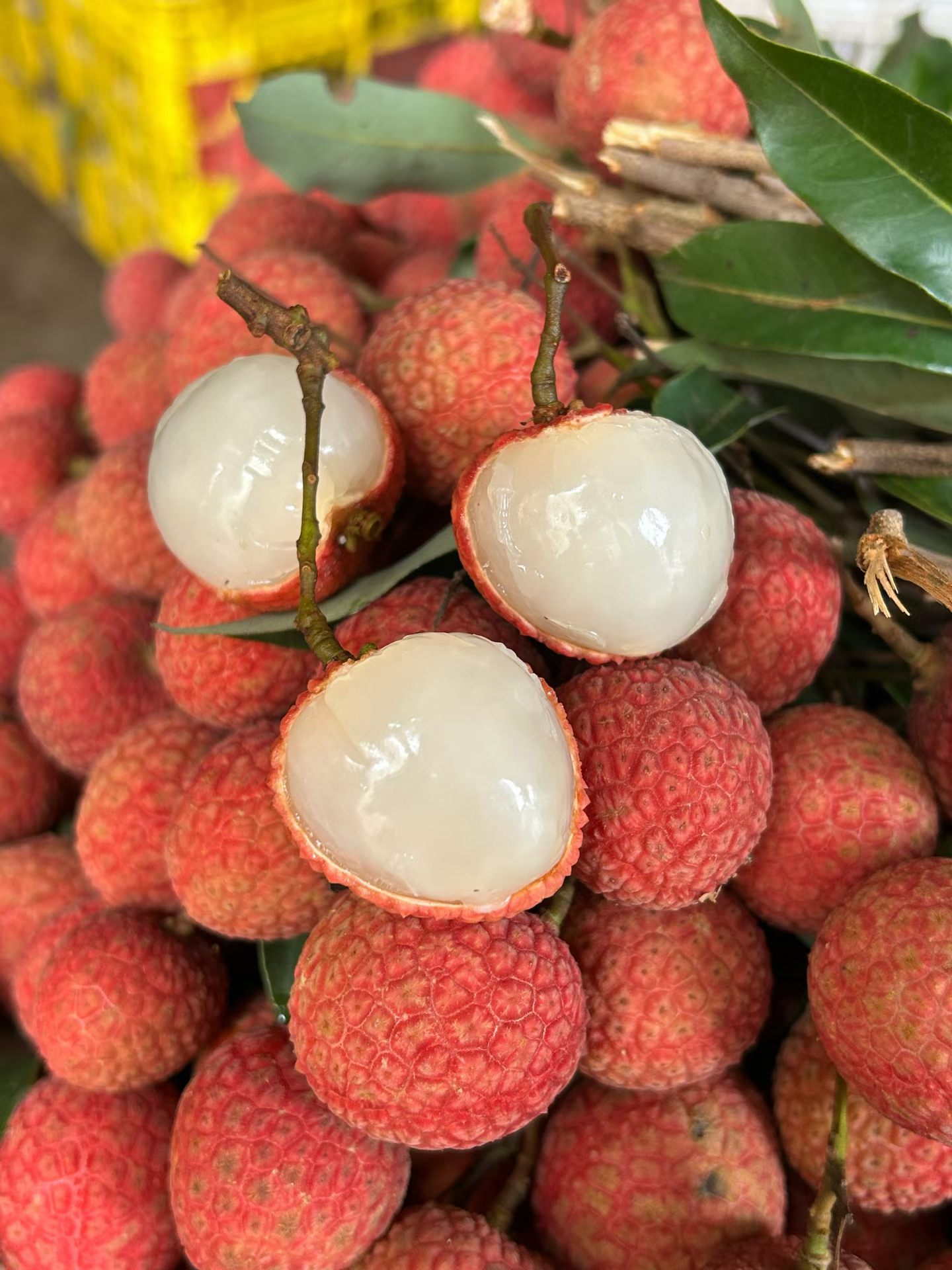 严明明其他供需