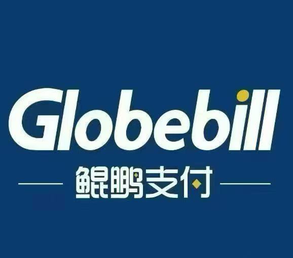 周先生地推项目鲲鹏支付，真商收款码