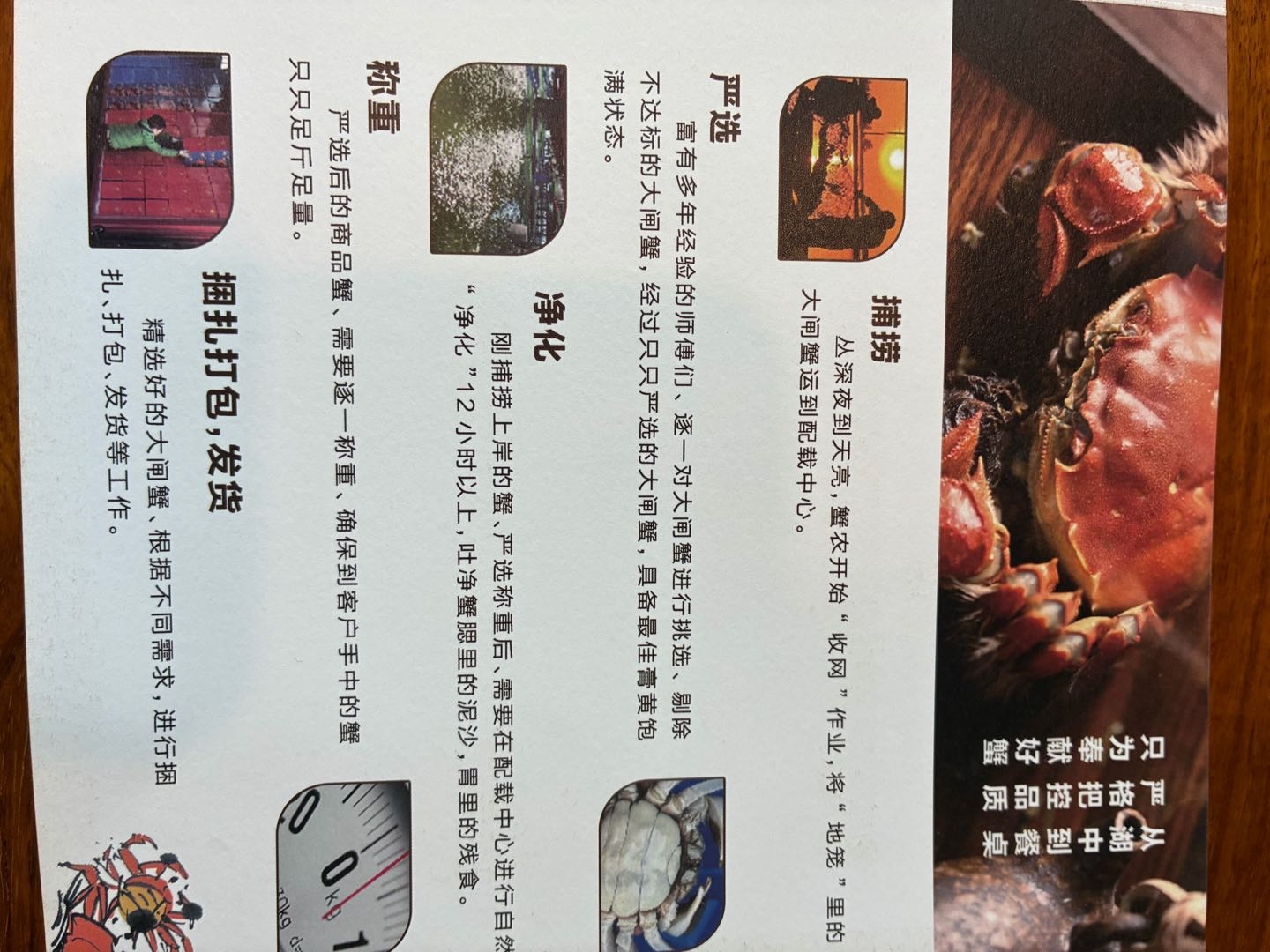 舒文军品牌货源