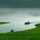 洪先生