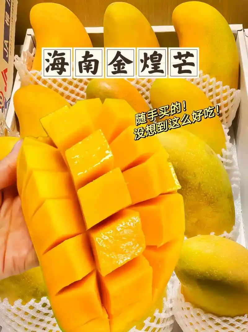 赵先生品牌货源
