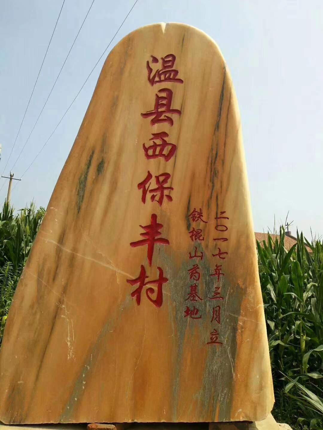 裴文杰温县怀甄铁棍山药9月份新货上市