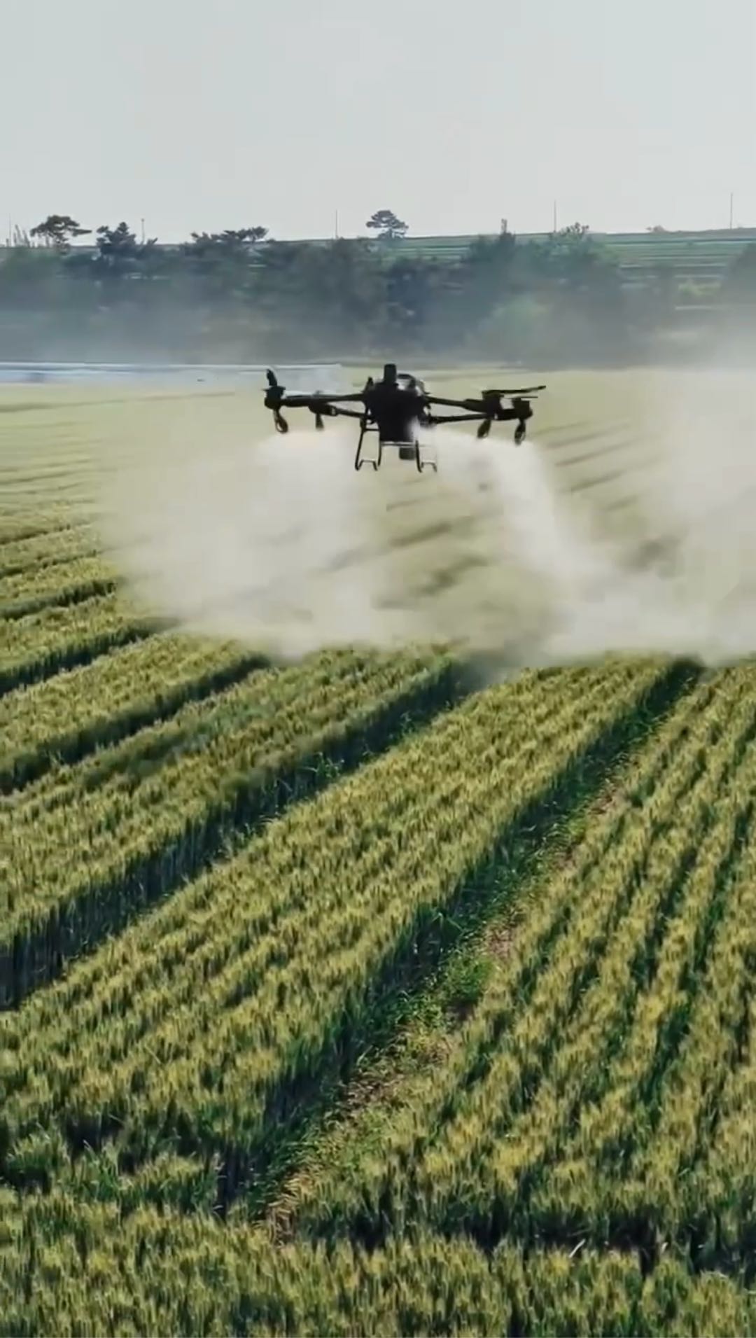 裴博润其他供需