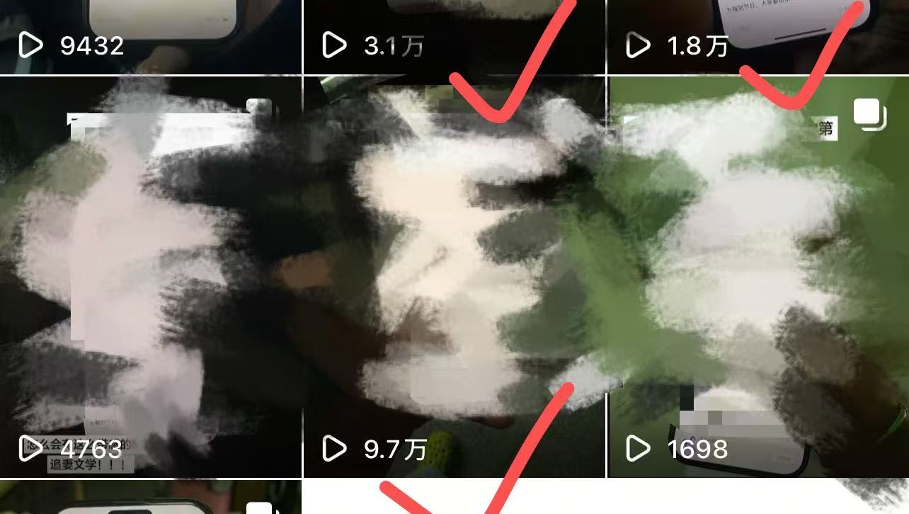 涂女士找合伙人小说推文，平台授权+素材全套+一手授权渠道+保姆教学