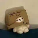 李先生