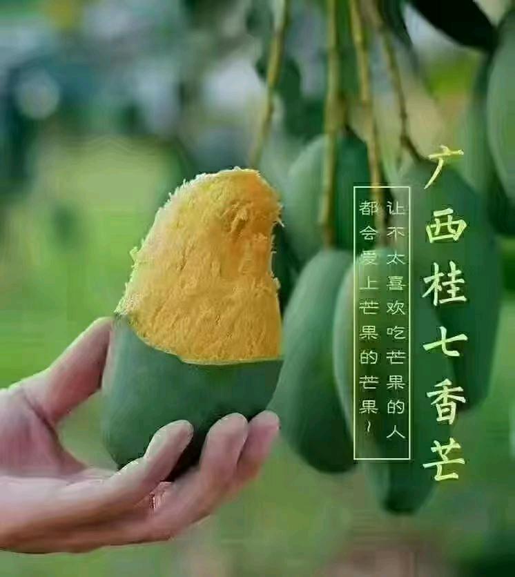 赖先生品牌货源源头水果供应，产地直销，一件代发