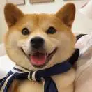 王嘉豪