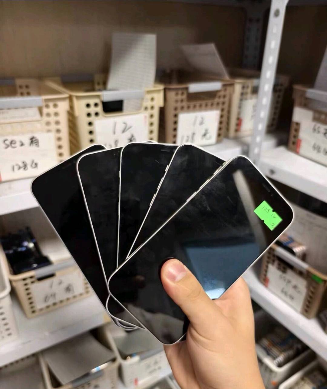 罗朋朋其他供需