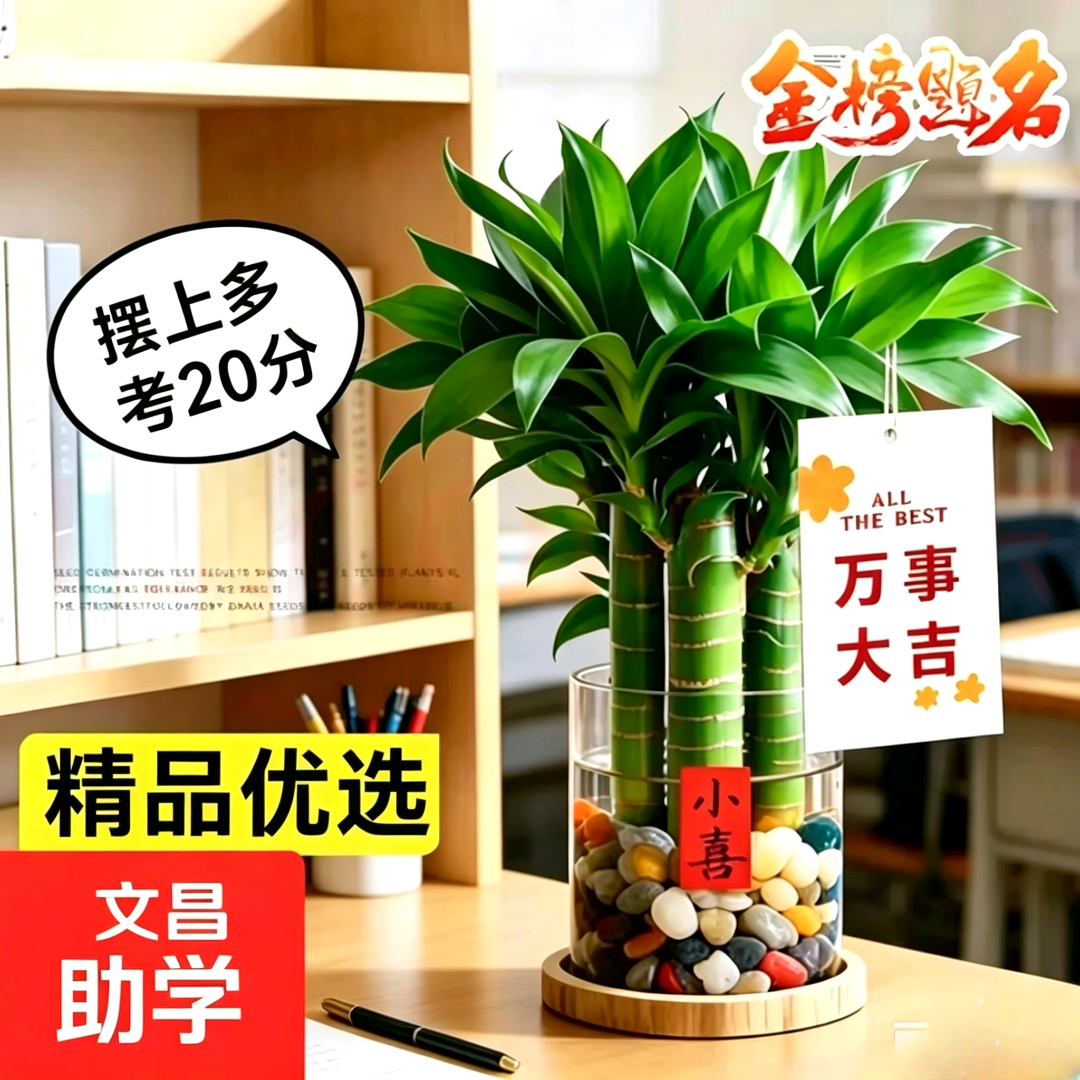 刘先生找合伙人绿植大棚招合作:提供货源与培训,有经验伙伴利润10%分成