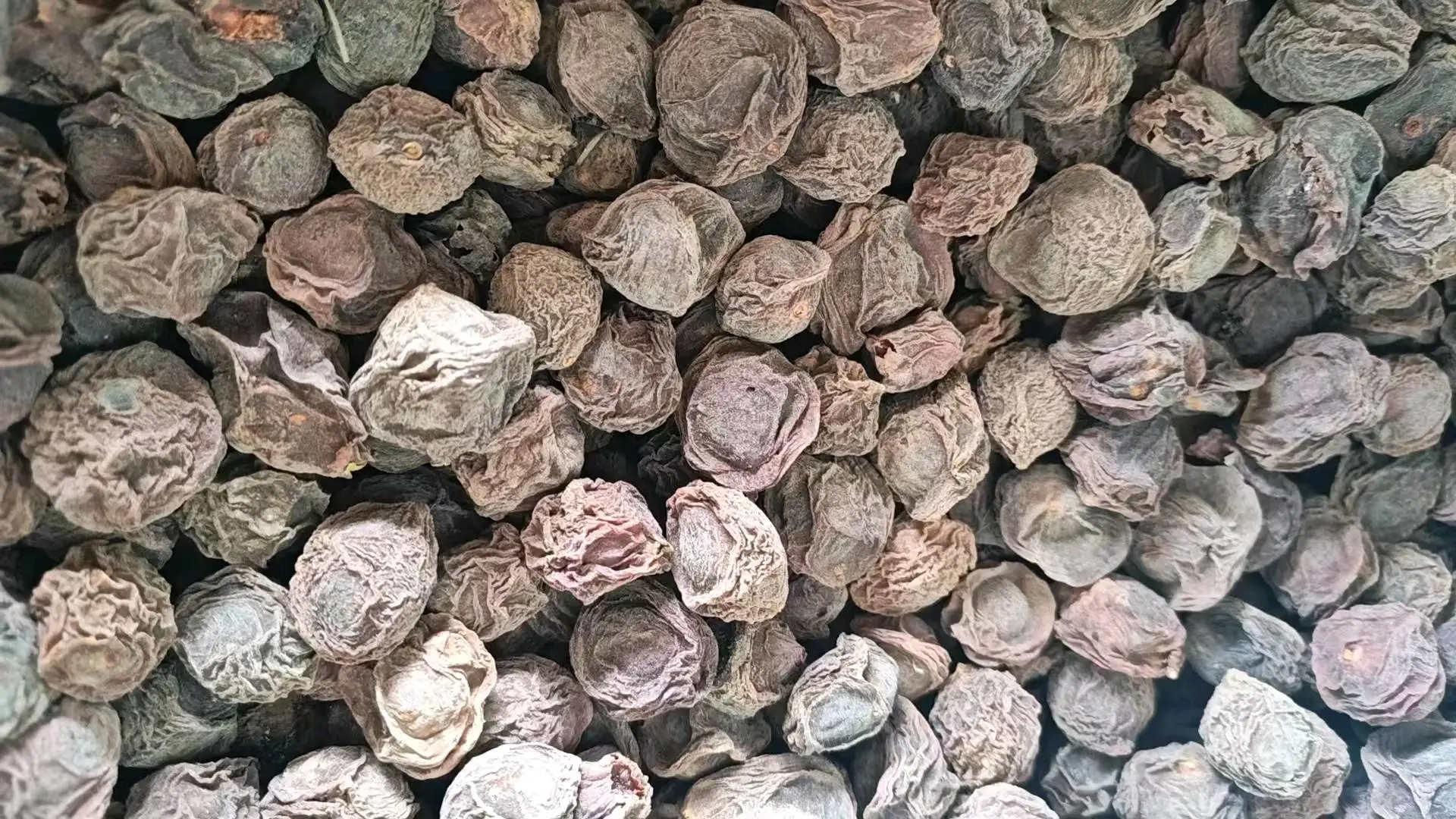 李勇出售500吨乌梅