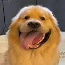 u客直谈实名认证管志林