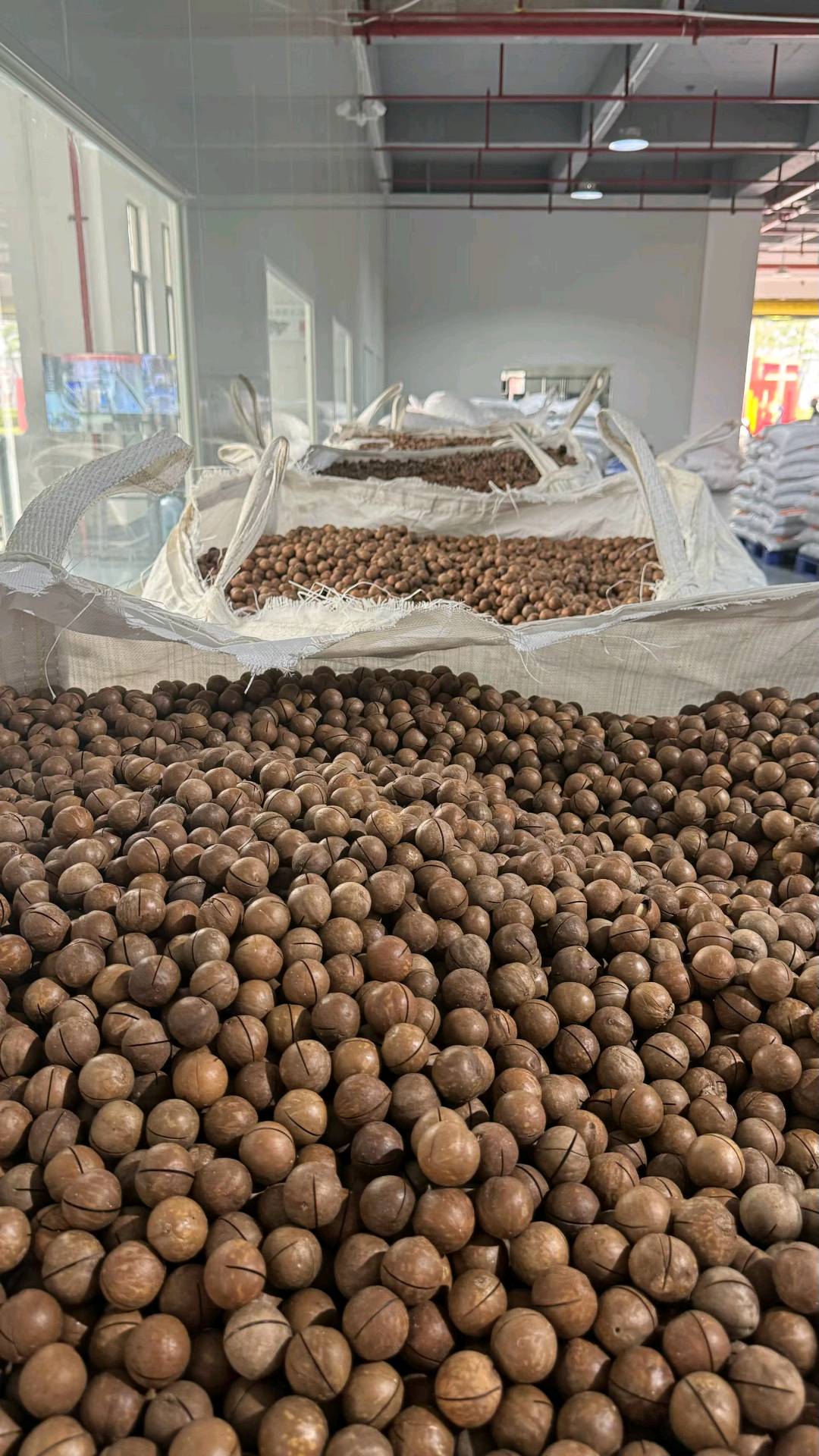 侯嘉伟品牌货源