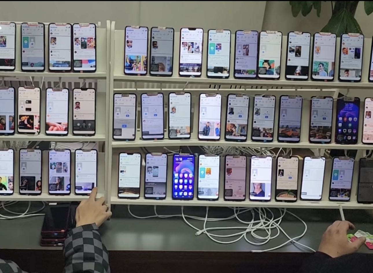 杨先生找合伙人