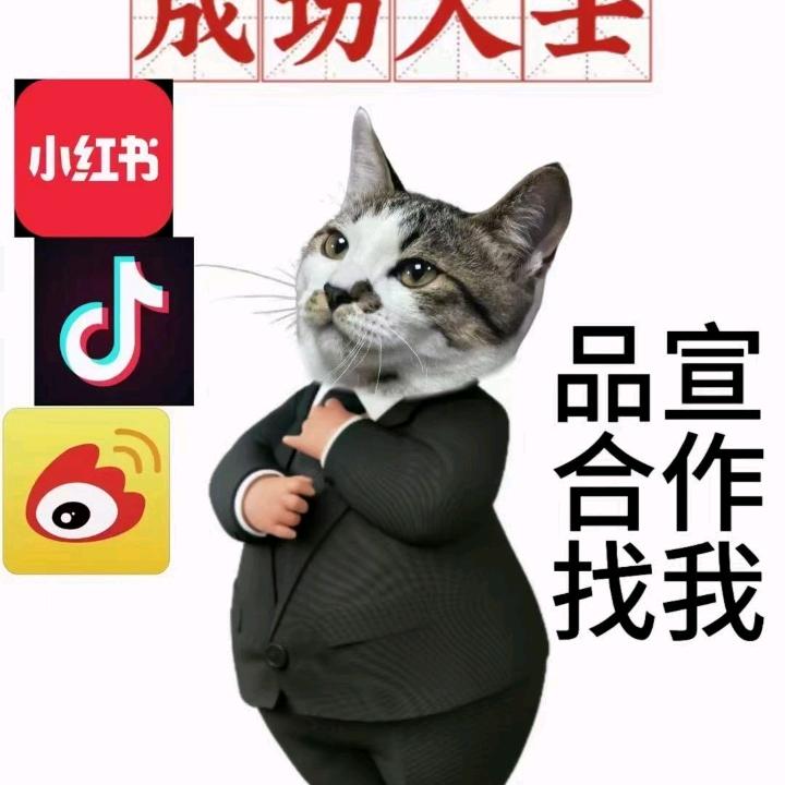 李龙涛乙方信息需求有预算的品牌方合作