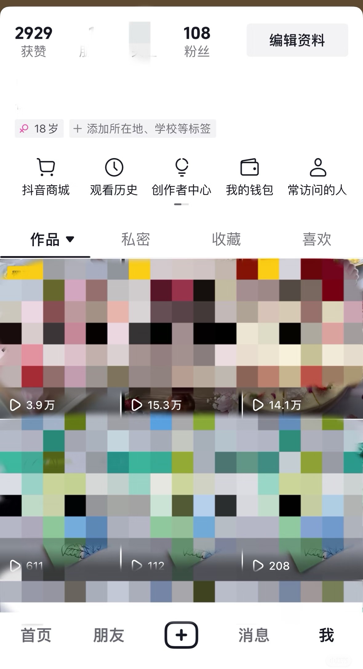 邢苗苗找合伙人小说项目，一部手机就可以做，简单操作，独立后台，时间自由