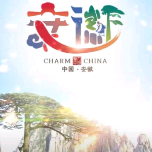 张先生