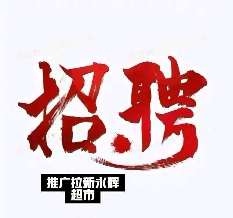 孙立志地推项目