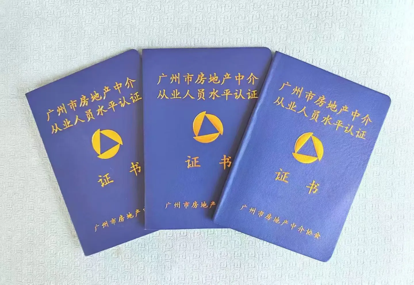 黄先生其他供需接广州中介年审