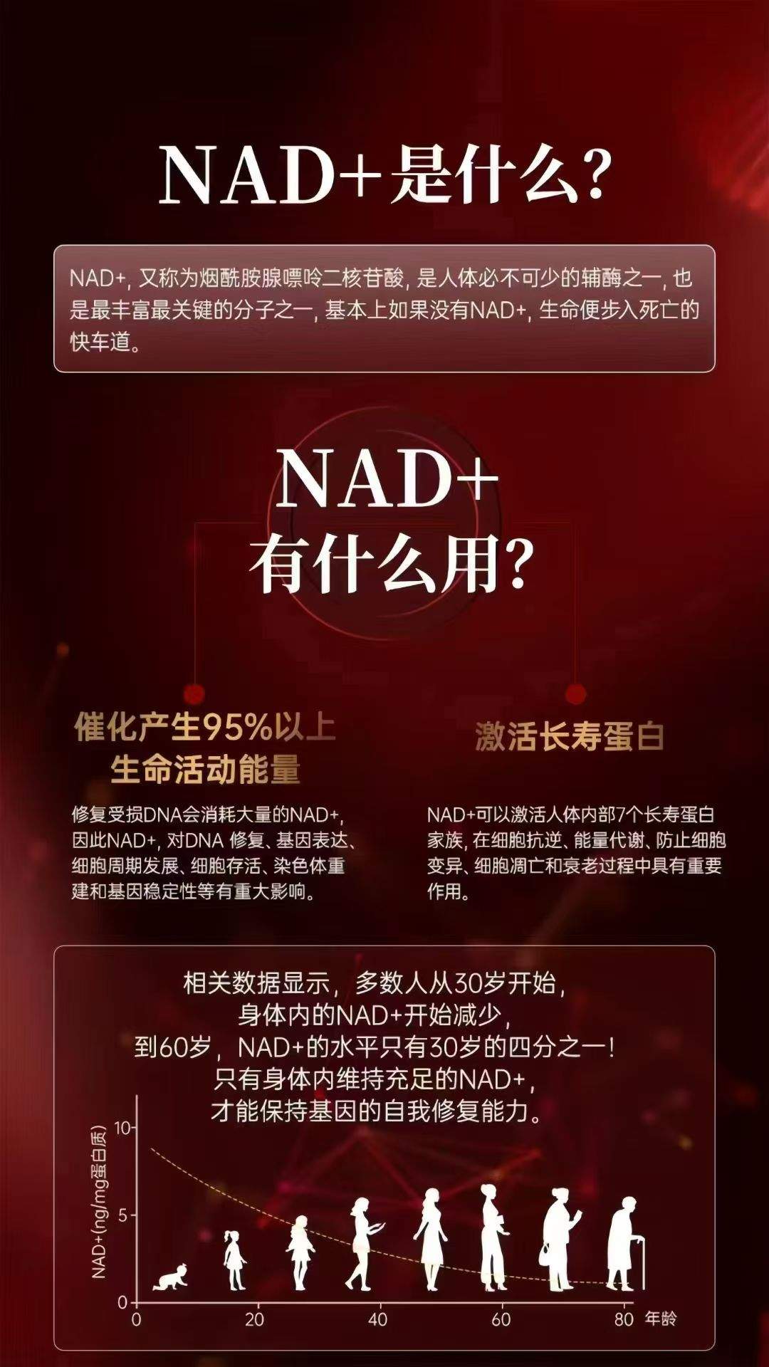 陆玲利其他供需