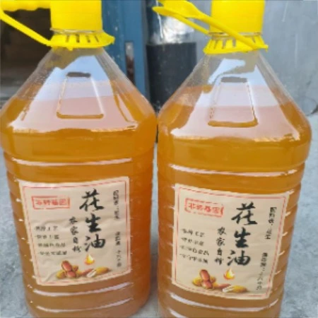 韩丹