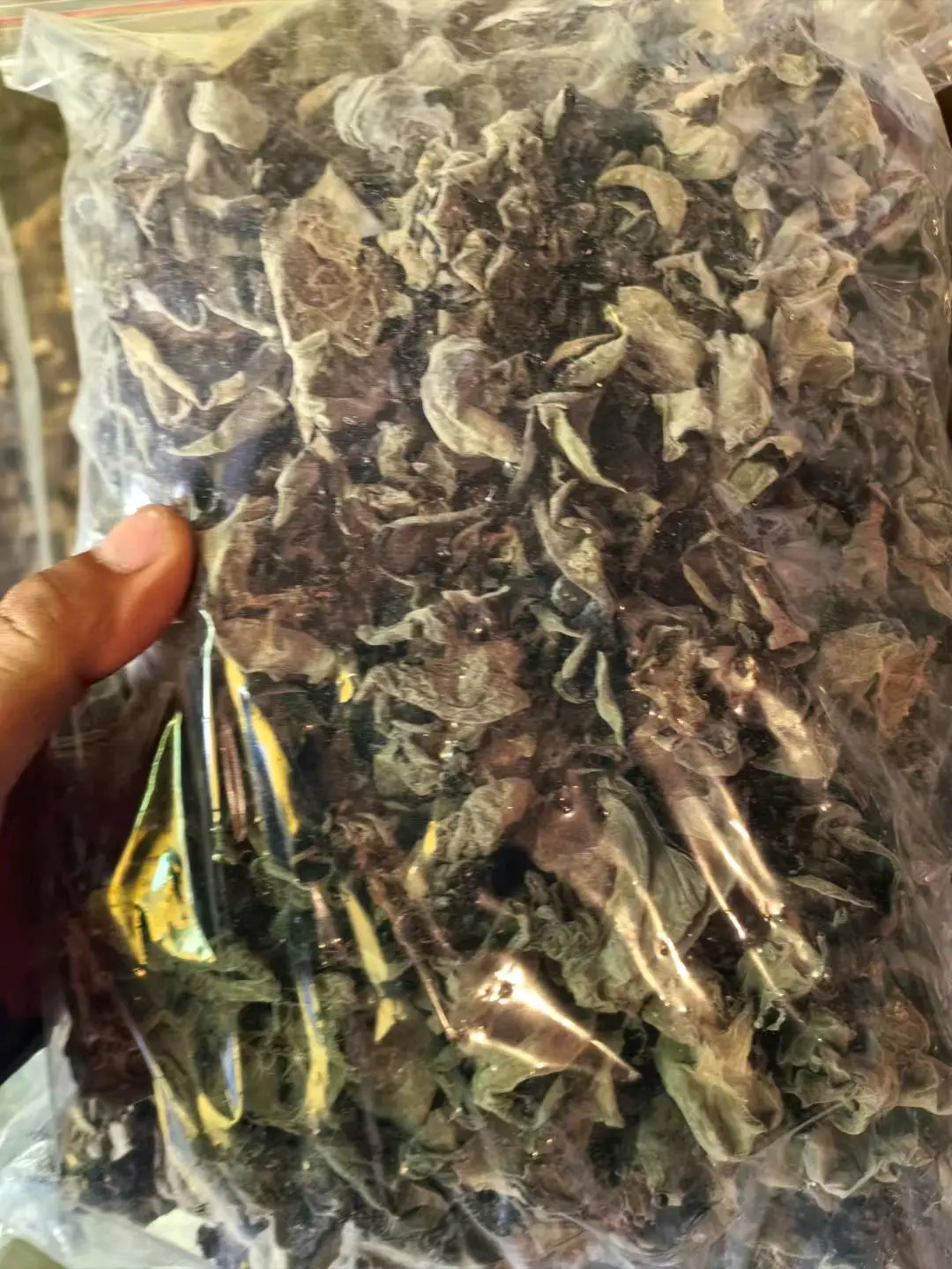 永玖尕让加措藏区野货