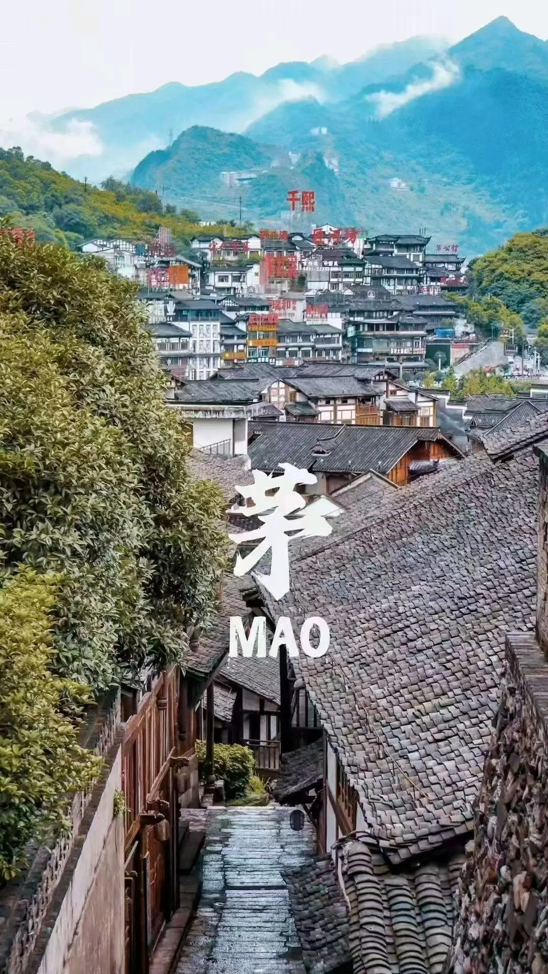 王丽其他供需