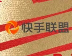 胡女士找合伙人