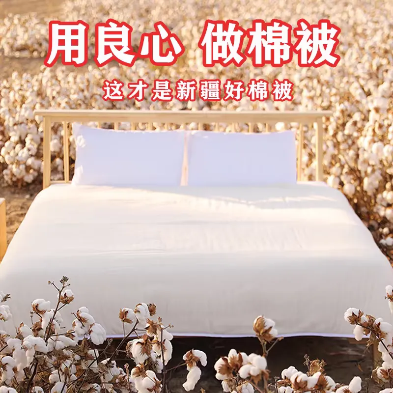 董天军源头工厂,寻找合作伙伴,供应渠道合作,